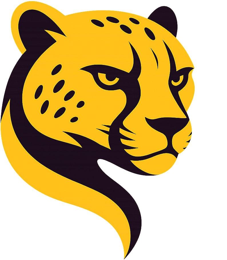 Cheetah Tool Credit Any QTY